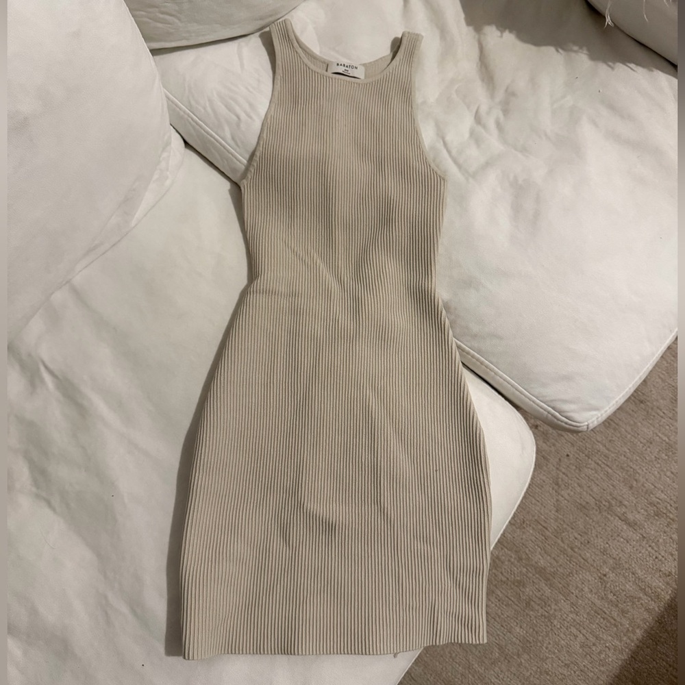 Aritzia Babaton mini dress